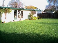 Our Big yard